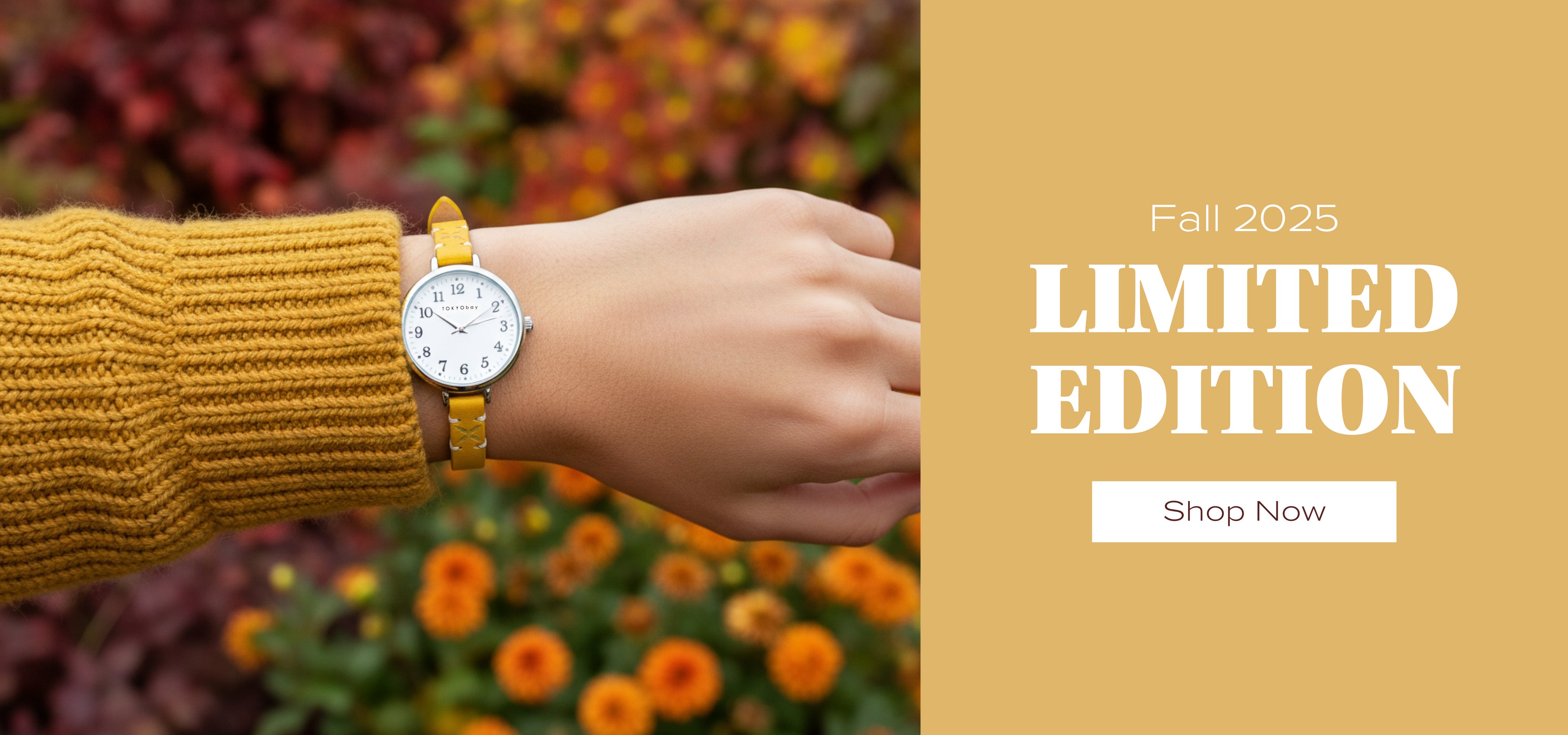 slider image 16083625557e6e6a59-1